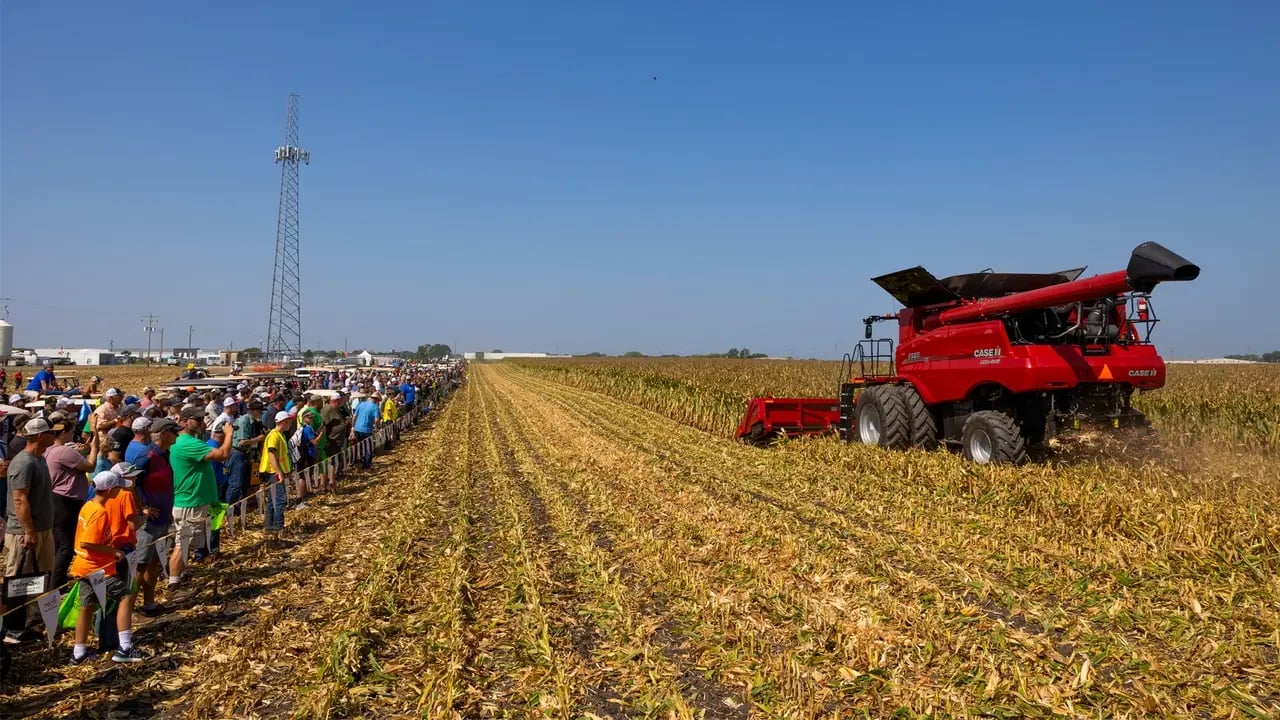 case ih field demo